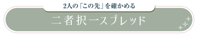 2人の「この先」を確かめる 二者択一スプレッド